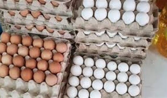 في عكار: عائلات تعيش على بيضة واحدة أو بيضتين